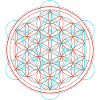 Vibrant Flower of Life Geometry