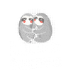 Faultier
