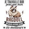 chat ragdoll