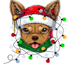 chihuahua christmas - christmas dogs gift