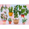 Plants