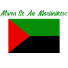 MSAM M.972 (Green)