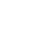 Programmer's Promise –