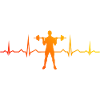 Krafttraining Damen Ausdauertraining Cardio