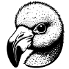 Weird Bird
