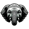 Bébé éléphant