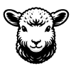 Sheep Lamb