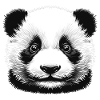 Pandas 🐼 Schwarz-Weiß-Panda-Gesichtskunst