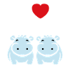 amour petit hippopotame