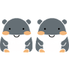 Amour petit hippopotames