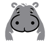 Amour petit hippopotame