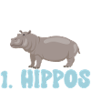 Hippopotame Hippopotame