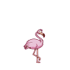 Nimm dir Zeit für Flamingos