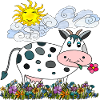 Cow