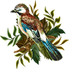 Bunter Vogel