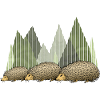 Hedgehogs