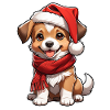 Hund mit Weihnachtsmütze