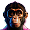 Singe coquin