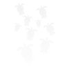 Schildkröten