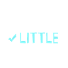 Little Brother Gifts
