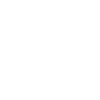 White Bull's Head