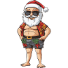 Santa Claus Holiday Santa