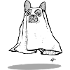 GHOST DOG