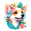 Corgi