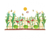 Alotment plant& insect sanctuary