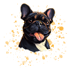 Maman bouledogue français