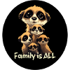Family is All Meerkats
