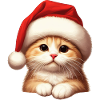 Chat Père Noël