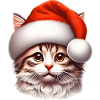 Chaton Le Père Noël