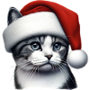 Kitty Cat Der Weihnachtsmann