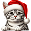 de réveillon de Noël chat