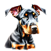 Dobermann Hund Dobermannwelpe Dobermanntrainer