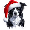 Border Collie Santa Clause