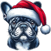 Frenchie présente