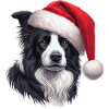 Border Collie Gifts