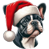 Frenchie The Santa Claus
