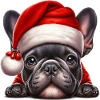 Mignon bouledogue français présente