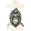 No pictures please