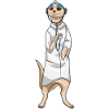 Erdmännchen Arzt Stethoskop