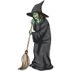 Witch Halloween Broom