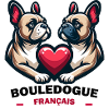 Bouledogue français amour