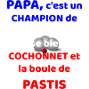 T-Shirt humour de Papa.