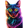 Chat néon