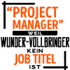 Projektmanager Vorgesetzter Job manager Statement