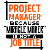 Job Manager Statement Projektmanager Erfolg
