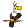 Ugly Vulture